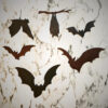 The "Feelin' Batty" Figure Set